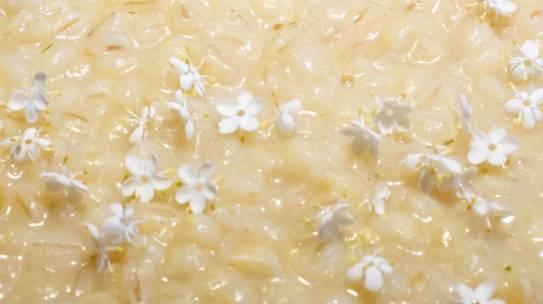 Orzotto ai fiori di sambuco